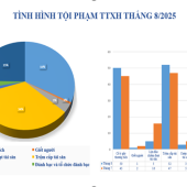 Số liệu về tình hình an ninh trật tự tháng 8/2025