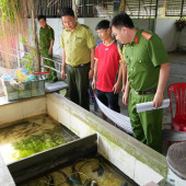 Ra quân cao điểm tuyên truyền, đấu tranh, xử lý các hành vi vi phạm pháp luật liên quan đến bảo vệ các loài động vật hoang dã, bảo vệ nguồn lợi thủy sản
