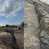 Phát hiện Công ty chế biến nông sản chôn lấp chất thải có biểu hiện gây ô nhiễm nghiêm trọng