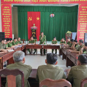 Đẩy mạnh thu thập và làm sạch dữ liệu đăng ký phương tiện, giấy phép lái xe tại xã Tân Thạnh
