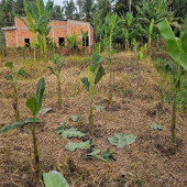 Cán bộ, chiến sĩ các Trại tạm giam tích cực tham gia lao động, sản xuất, cải thiện đời sống và lan tỏa tinh thần nhân văn