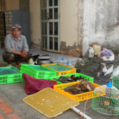 Công an xã Tân Hòa phát hiện và vận động người dân giao nộp  42 cá thể chim, cò hoang dã