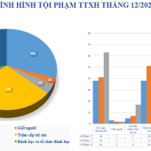Số liệu về tình hình an ninh trật tự tháng 12/2025