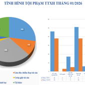 Số liệu về tình hình an ninh trật tự tháng 01/2026