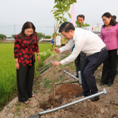 Thành phố Cần Thơ phát động “Tết trồng cây đời đời nhớ ơn Bác Hồ” Xuân Bính Ngọ năm 2026