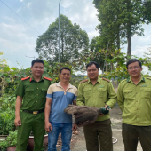 Công an xã Vĩnh Trinh tiếp nhận, bàn giao động vật quý hiếm