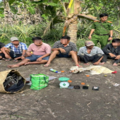 Công an xã Phương Bình bắt quả tang 08 đối tượng đá gà ăn thua bằng tiền