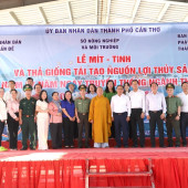 Thả 3 triệu con giống tái tạo nguồn lợi thủy sản: Hành động vì sự phát triển bền vững