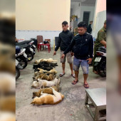 Công an phường Tân An tăng cường tuần tra, xử lý vi phạm, bảo đảm an ninh, trật tự trên địa bàn