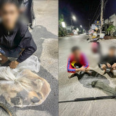 Công an phường Cái Răng bắt giữ 02 đối tượng trộm cắp tài sản là “thú cưng” trong đêm