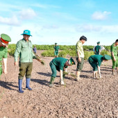Trồng mới 17ha rừng phòng hộ ven biển nhân ngày sinh nhật Bác
