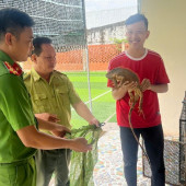 Vĩnh Phước: Người dân tự nguyện giao nộp 02 cá thể động vật hoang dã