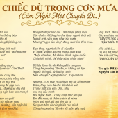Từ những chiếc dù trong mưa