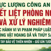 Chung tay bảo vệ động vật hoang dã, bảo vệ nguồn lợi thủy sản Việt Nam - Mỗi người dân là một “lá chắn xanh” bảo vệ thiên nhiên và cuộc sống