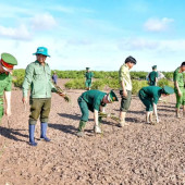 Công an phường Vĩnh Phước phát huy hiệu quả phối hợp trong công tác bảo vệ rừng phòng hộ ven biển và bảo tồn đa dạng sinh học