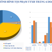 Số liệu về tình hình an ninh trật tự tháng 6/2026