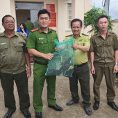 Cần Thơ: Người dân Khánh Hòa tự nguyện giao nộp cá thể chim cổ rắn quý, hiếm cho Công an