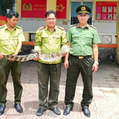Công an xã Trường Xuân bàn giao cá thể cá sấu cho cơ quan chức năng