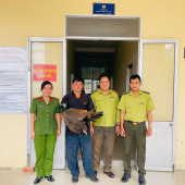 Công an phường Cái Răng tiếp nhận, bàn giao cá thể Công Ấn Độ  do người dân tự nguyện giao nộp