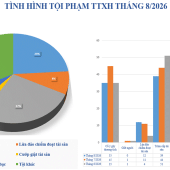 Số liệu về tình hình an ninh trật tự tháng 8/2026