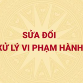 Hoàn thiện pháp luật về xử lý vi phạm hành chính đáp ứng yêu cầu quản lý nhà nước trong tình hình mới