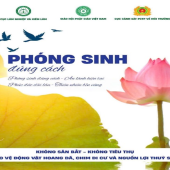 Đừng để việc phóng sinh trở thành “vỏ bọc” để các đối tượng lợi dụng thực hiện hành vi vi phạm pháp luật
