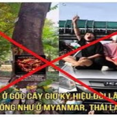 Nhận diện thủ đoạn chính trị hóa vụ tai nạn giao thông trên đường Nguyễn Huy Tự, Hà Nội.