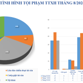 Số liệu về tình hình an ninh trật tự tháng 8/2026