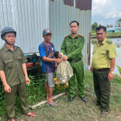 Công an xã Phương Bình tiếp nhận 04 cá thể chim Quốc do người dân tự nguyện giao nộp