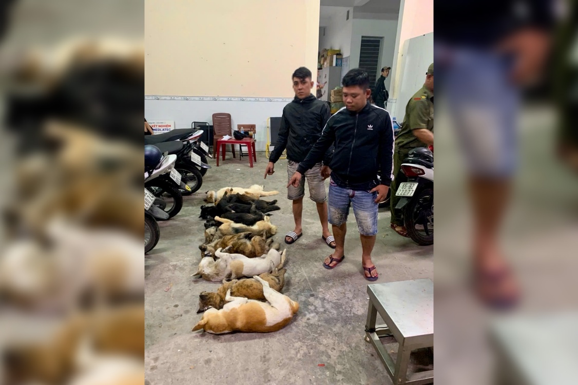 Công an phường Tân An tăng cường tuần tra, xử lý vi phạm, bảo đảm an ninh, trật tự trên địa bàn