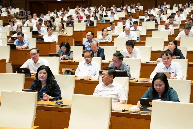 Các đại biểu tham dự.