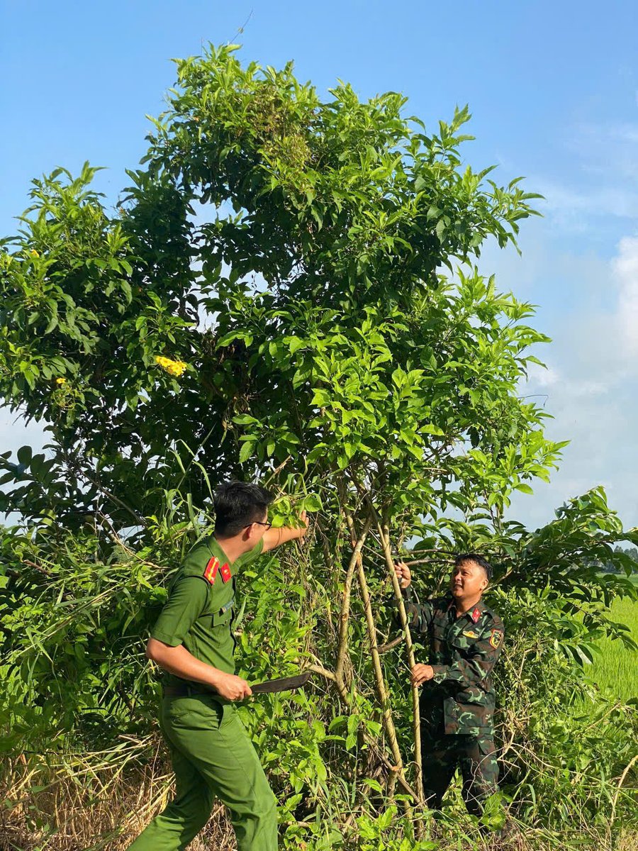 Đội Thanh niên xung kích vì Nhân dân phục vụ ra quân phát quang, dọn dẹp và trồng cây xanh trên tuyến Tỉnh lộ 931.